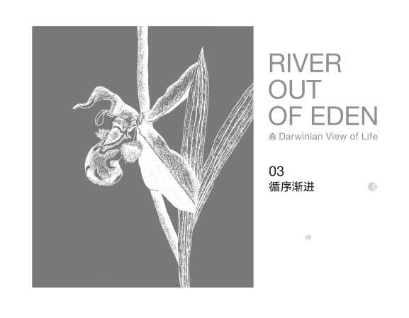 river out of eden-03